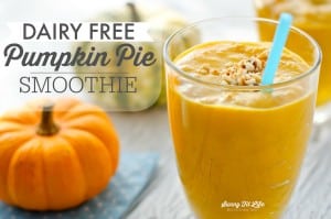 Smoothie Recipe - Dairy Free Pumpkin Pie