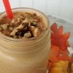 Smoothie Recipe - Dairy Free Pumpkin Pie