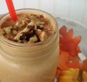 Smoothie Recipe - Dairy Free Pumpkin Pie