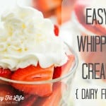 dairy free whipped cream healthy dessert