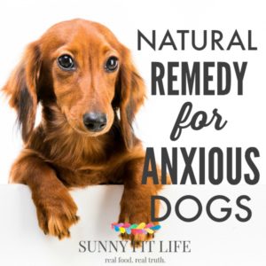 Anxious Dogs Natural Remedy - How to Calm Your Anxious Dogs