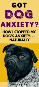 Calm Anxious Dogs: Dog Anxiety Remedies Relief