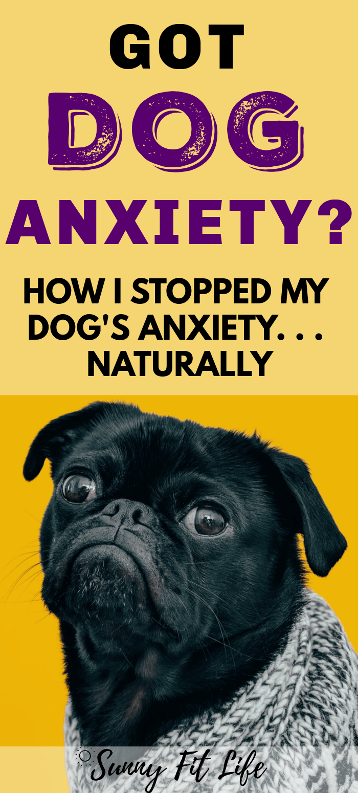 anxiety dog pillow